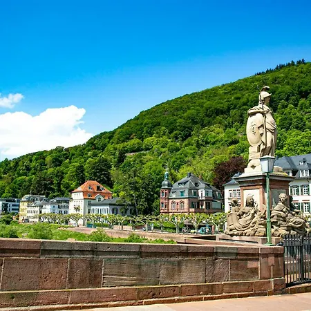Bs * Heidelberg